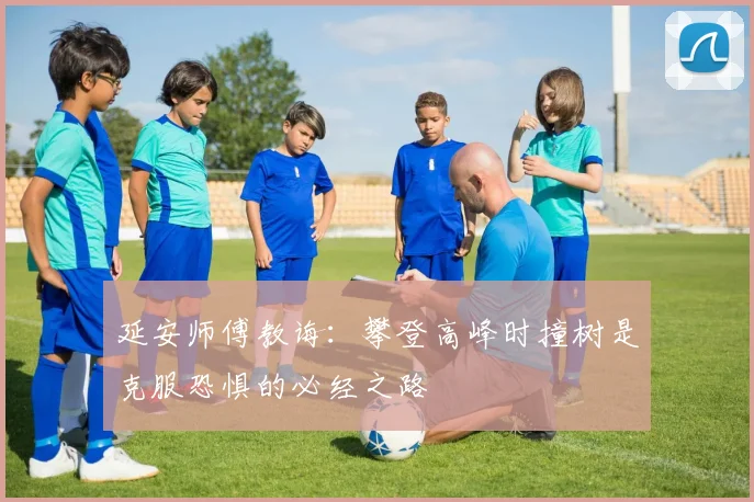 延安师傅教诲：攀登高峰时撞树是克服恐惧的必经之路