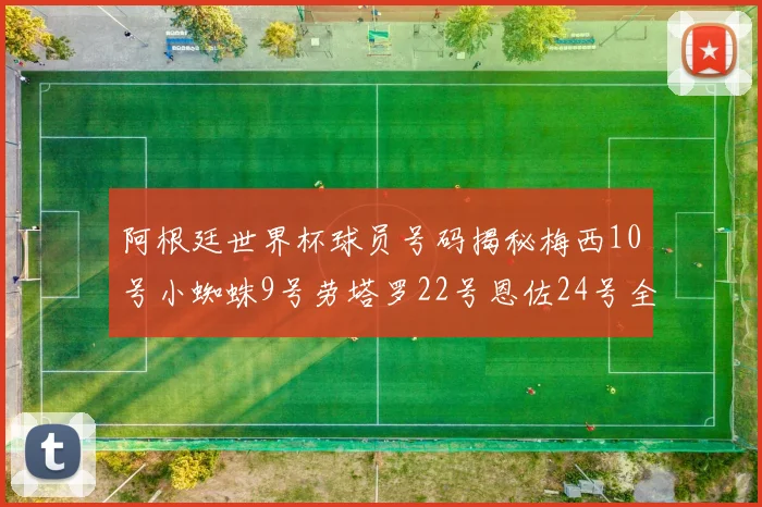 阿根廷世界杯球员号码揭秘梅西10号小蜘蛛9号劳塔罗22号恩佐24号全解析